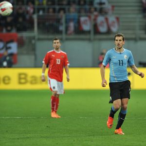 2014년 오스트리아와의 경기에서 스투아니