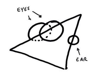 피니어스의 머리 디자인 개요