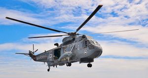 브라질 해군의 시 킹