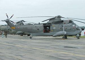 덴마크 공군 S-61A