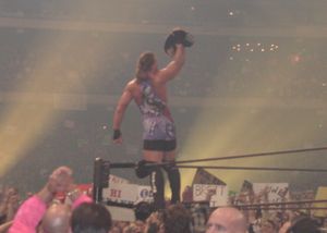 레슬매니아 X8에서 WWF 인터컨티넨탈 챔피언십을 획득한 후의 밴 댐