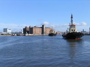 이스트 플로트 독