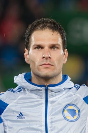 2015년 보스니아 헤르체고비나 대표팀 경기