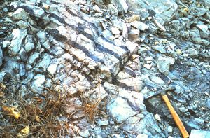 에버렛, 펜실베이니아 데본기 코리건빌-뉴 크릭 석회암의 처트(어두운 띠)