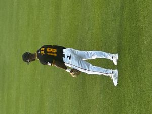 테일러, 2024년 피츠버그 파이리츠 소속