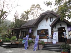 라벤더 숲 화원 농장 신서 지점