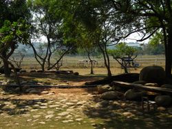 구 유에메이 톈마 목장