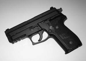 SIG P229R - P229에 레일이 추가된 버전이다.