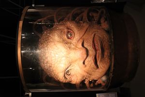 보(The Face of Boe)의 모습은 마지막으로 세상의 종말에서 등장했다. 그의 역할은 이전보다 더 커졌다.