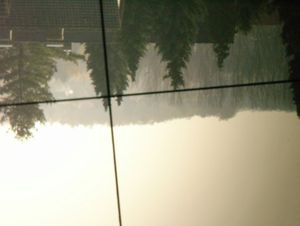 파인더를 통해 본 풍경. 십자선이 보이며, 도립상이다.