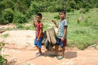 따오이족 소년들이 물고기 함정을 들고 있다, 살라반 주, 라오스