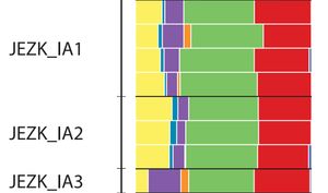 사카 슐레의 상염색체 DNA. 동부 사냥 채집인/고대 북유라시아인(EHG/ANE), 코카서스 사냥 채집인/이란 신석기 농부(CHG/INF), 아나톨리아 신석기, 동아시아 사냥 채집인(ANA), 황하 신석기 농부 (YRNF), 고대 조상 남인도인(AASI) 및 고대 고시베리아인(APS)