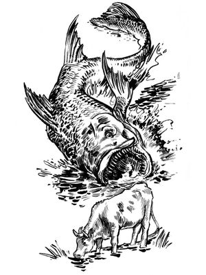 우도르스키 구의 코미족으로부터 수집된 민담의 현대적 묘사