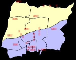 리강 향의 마을