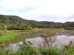 동원 습지}}의 곡읍호(동원지)