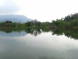 국립 핑둥 과학기술대학교의 징스 호