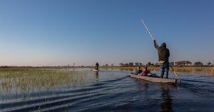오카방고 삼각주의 홍수에서 마코로를 운전하는 함부쿠슈 가이드