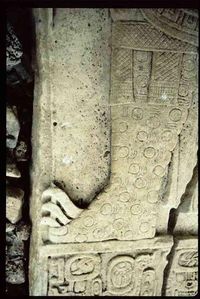 석비 5, 재규어 가죽 묘사