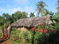 바라코아 근처 언덕에 있는 오두막