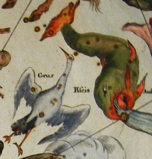 두루미자리와 남쪽 물고기자리는 한때 하나의 별자리를 이루었으며, 요한 도펠마이어의 Atlas Coelestis에 묘사되어 있다. (약 1742년)