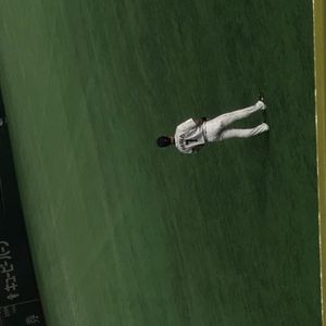 2017 아시아 프로 야구 챔피언십에서