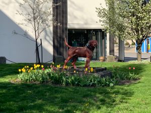 1889년 홍수에서 살아남은 조각상 모를리의 개