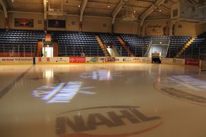 존스타운은 2015년 크래프트 하키빌 USA로 선정되었다.