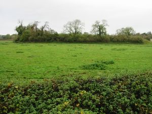 버펌의 버 성벽 잔해