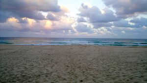 북부 해안의 해변