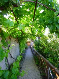 미란다데에브로 식물원