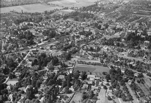 항공 사진 (1951)