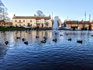 노턴의 빌리지 그린