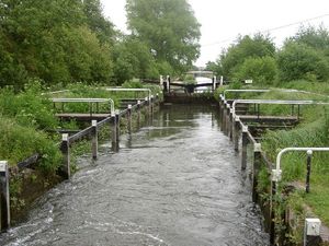 케네트 & 에이번 운하의 Monkey Marsh Lock(터프 측면 갑문)은 Thatcham에 위치해 있다.