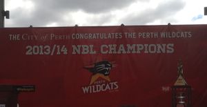 와일드캐츠의 2014년 챔피언십 축하 행사