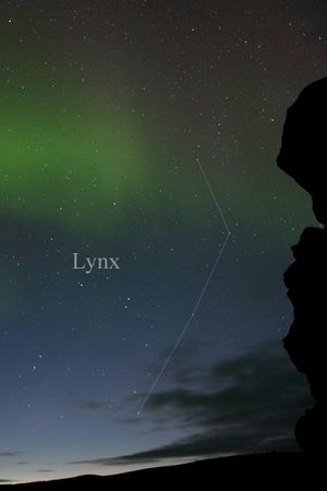 육안으로 볼 수 있는 살쾡이자리