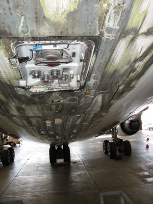 꼬리 부분의 손상