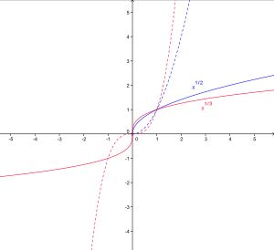 지수가 1/2 (파랑), 1/3 (빨강)인 멱함수