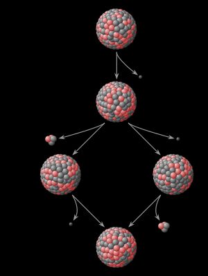 납-212(212Pb)에서 납-208(208Pb)로의 방사성 붕괴 연쇄 예시. 각 모핵종은 α 붕괴 또는 β− 붕괴를 통해 딸핵종(붕괴 생성물)으로 자발적으로 붕괴되며, 최종 붕괴 생성물인 납-208(208Pb)은 안정적이다.