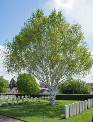 베튄 영국군 묘지