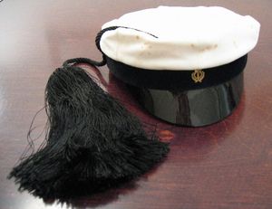 탐페레 공과대학교 공학 학생의 모자.