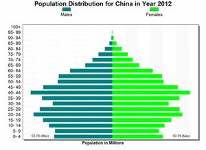 중국의 인구 피라미드 변화, International Futures