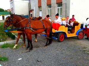 2013년 우크라이나 민속 축제