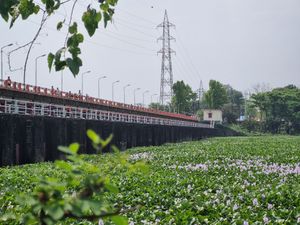 물배추가 있는 페니강 소나가지 우파질라 무후리 프로젝트