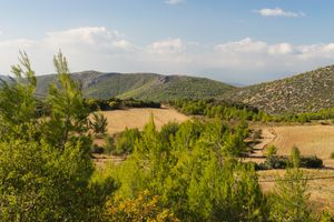 에레트리아 근처 풍경