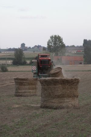 벨기에에서 베일 기계로 아마를 묶는 모습. 왼쪽에는 베일러로 묶이기를 기다리는 잘린 아마가 있다.