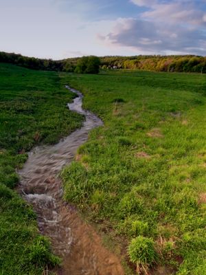 앨러게니강의 발원지는 포터 군에 있는 이 초원에 있다.