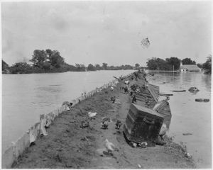 제방에 앉아 물에서 벗어난 가금류와 가축