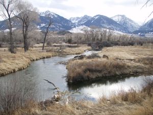 맬러즈 레스트 근처의 암스트롱 스프링 크릭