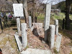 료코 여왕이 심은 소나무(1918년 3월 17일)