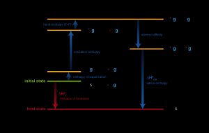 보른-하버 다이어그램에서 플루오린화 리튬의 표준 생성 엔탈피 변화. 는 텍스트에서 에 해당합니다. 아래쪽 화살표 "전자 친화도"는 음수량 를 보여줍니다. 는 일반적으로 양수로 정의됩니다.